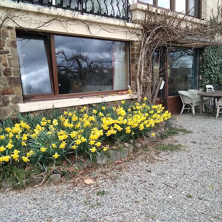 Dinant La Bergeronnette Avec La Chaleur Du Feu De Bois Et Le Jardin Villa Exterior foto