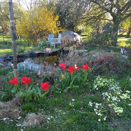 Dinant La Bergeronnette Avec La Chaleur Du Feu De Bois Et Le Jardin Villa Cameră foto
