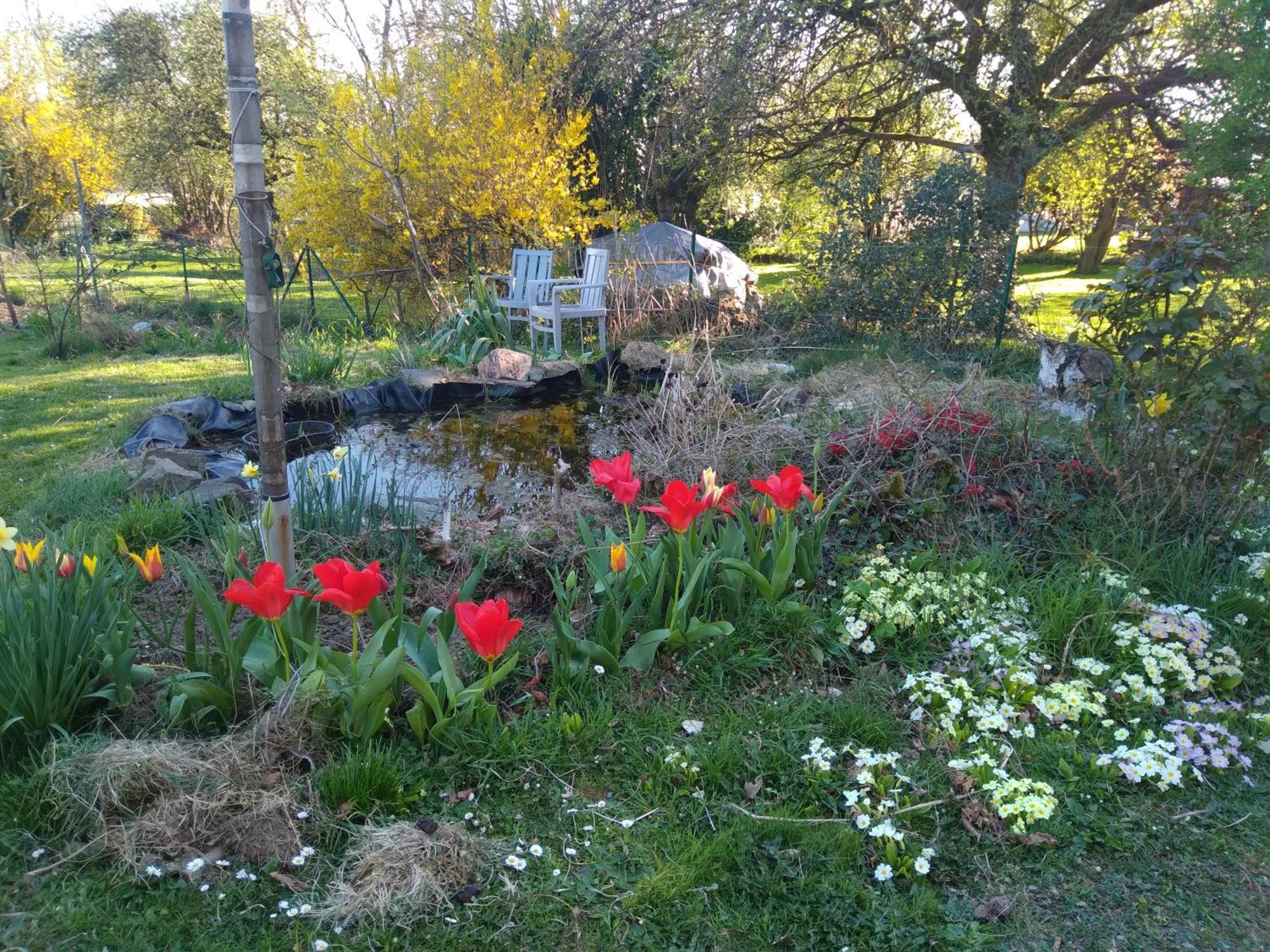 Dinant La Bergeronnette Avec La Chaleur Du Feu De Bois Et Le Jardin Villa Cameră foto