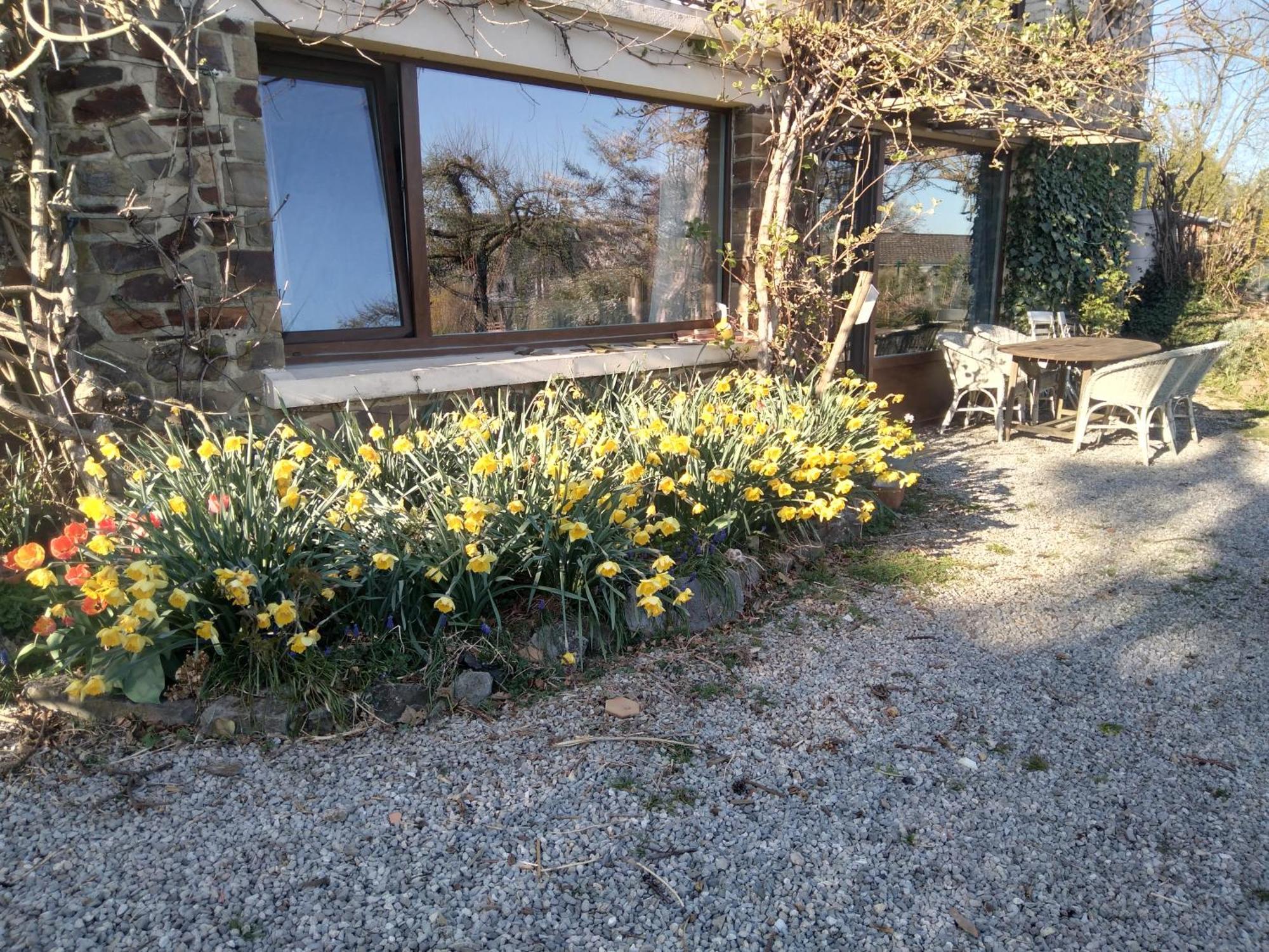 Dinant La Bergeronnette Avec La Chaleur Du Feu De Bois Et Le Jardin Villa Cameră foto